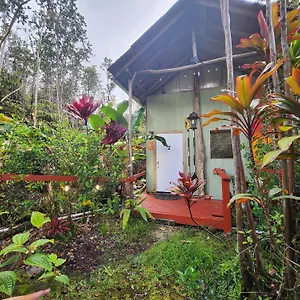 2-rustic Private Near Volcano National Park , Fern Forest Estados Unidos